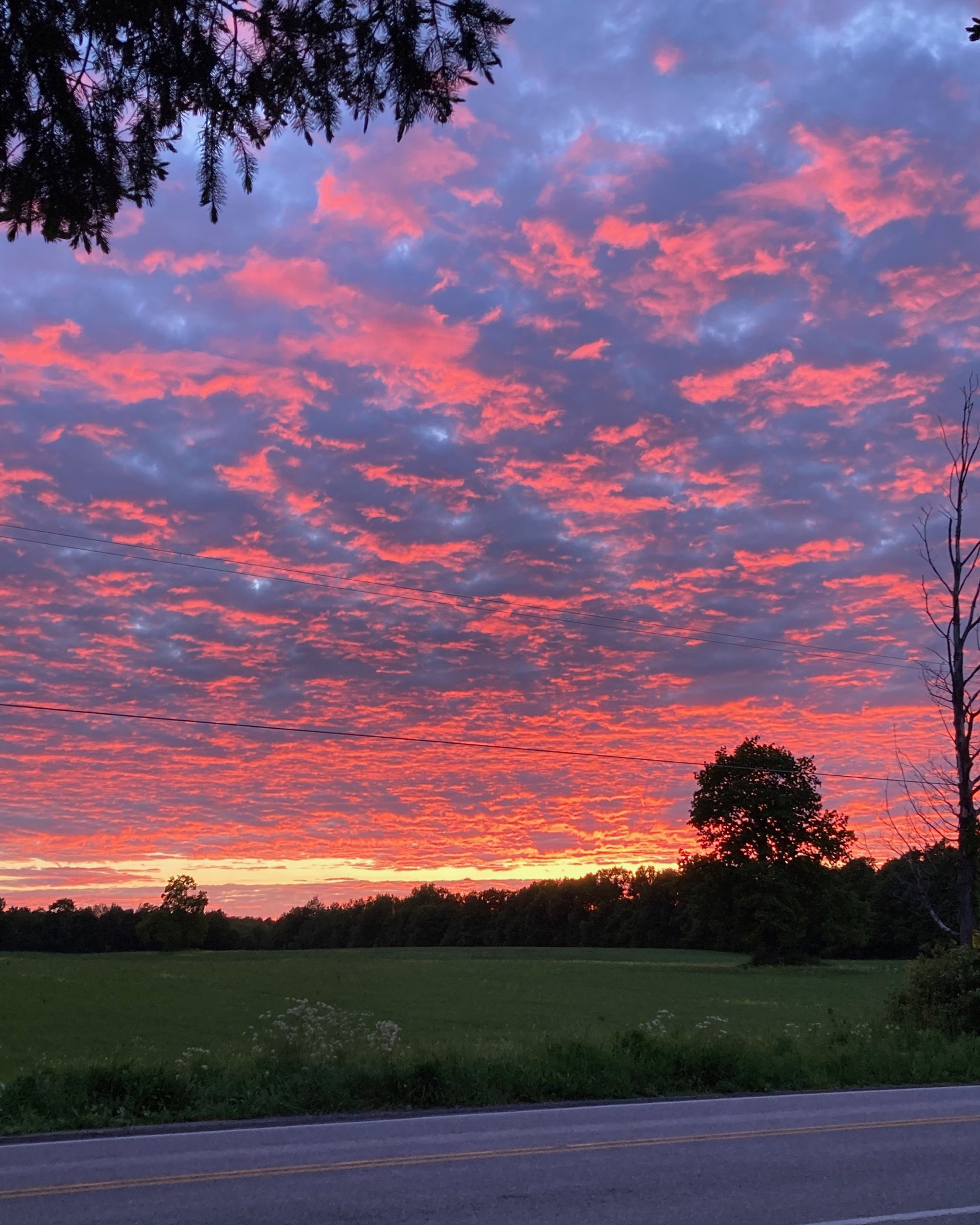 A beautiful pink and blue cloudy sky sunset over Greyrock Farm in Casenovia, New York.