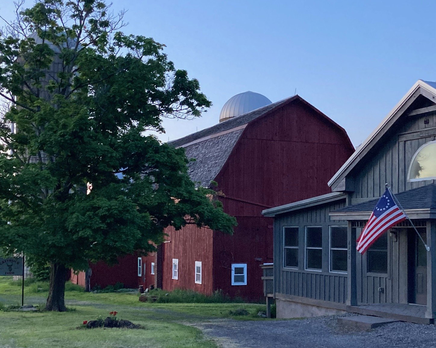 A red-barnhouse at Greyrock Family Farm. Beside it is a large green tree. In front of it is a grey building with an American flag on it.