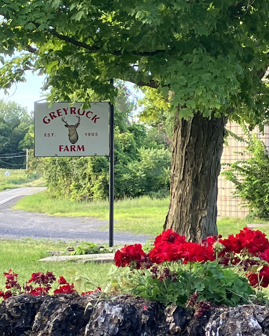 The farm sign featuring the logo for Greyrock Farm in Cazenovia, New York surrounded by greenery, trees and red flowers.